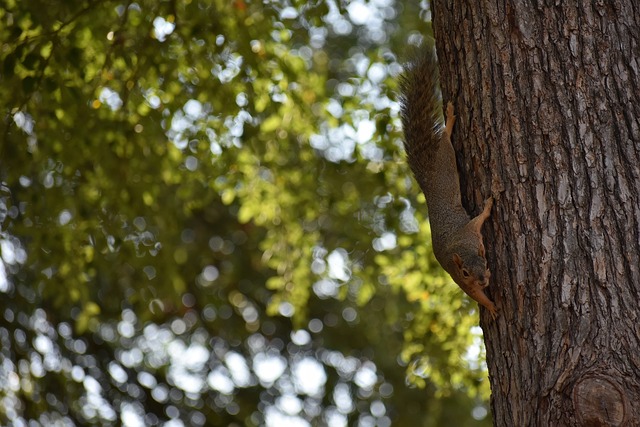 无论结果如 无论结果如
