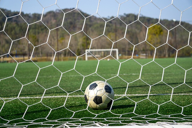 即将到来的 即将到来的