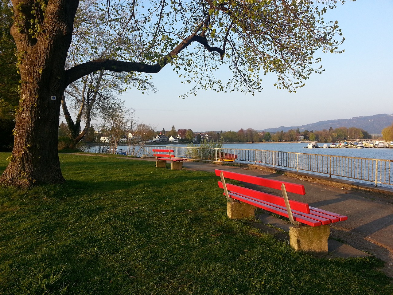 和防守能力 和防守能力