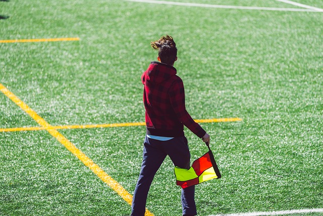 心理素质的 心理素质的